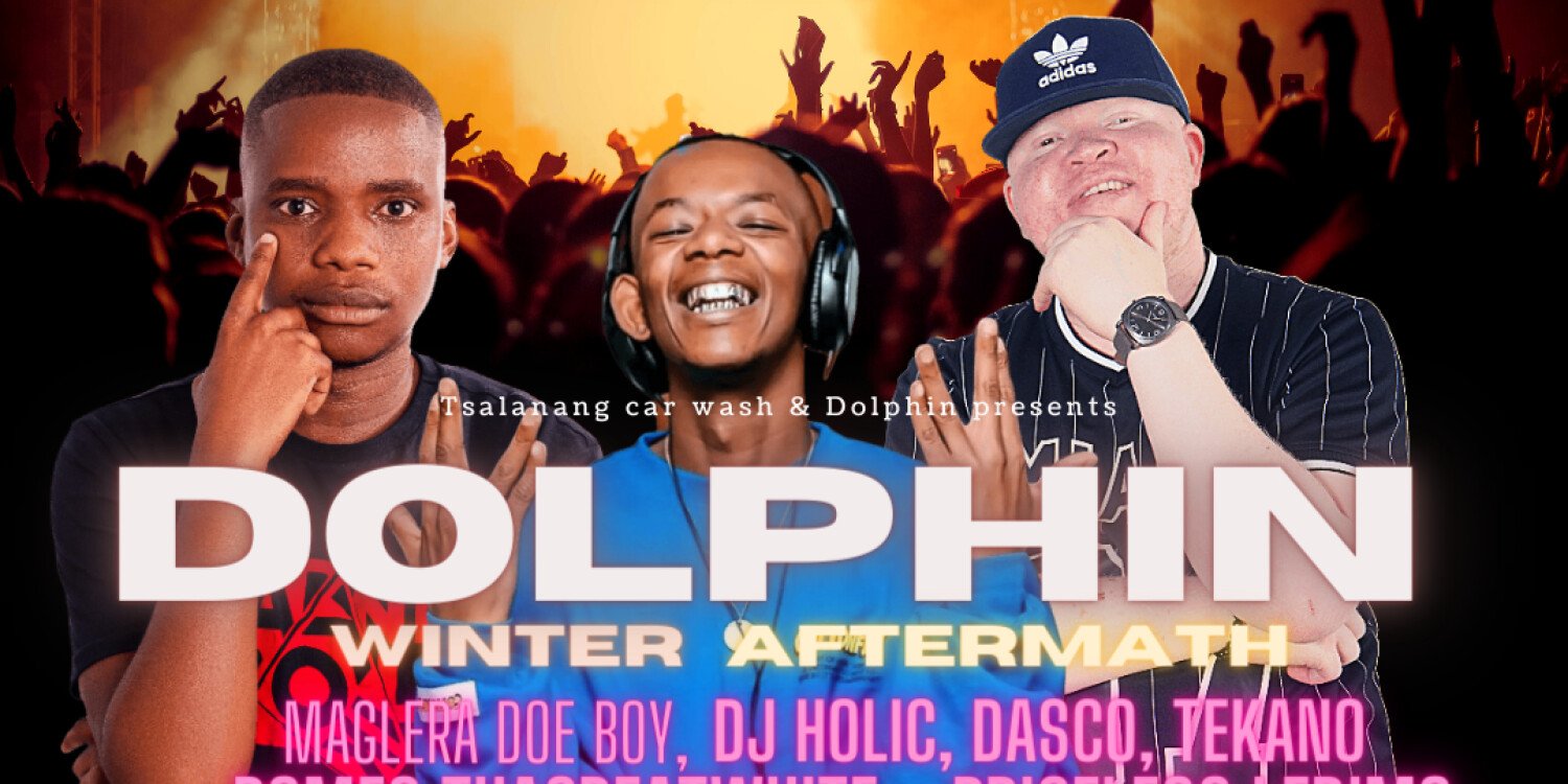 Dolphin Winter Aftermath 