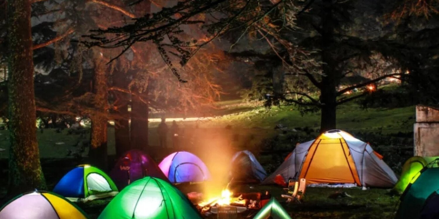 City Campout - The Food Garden experience 