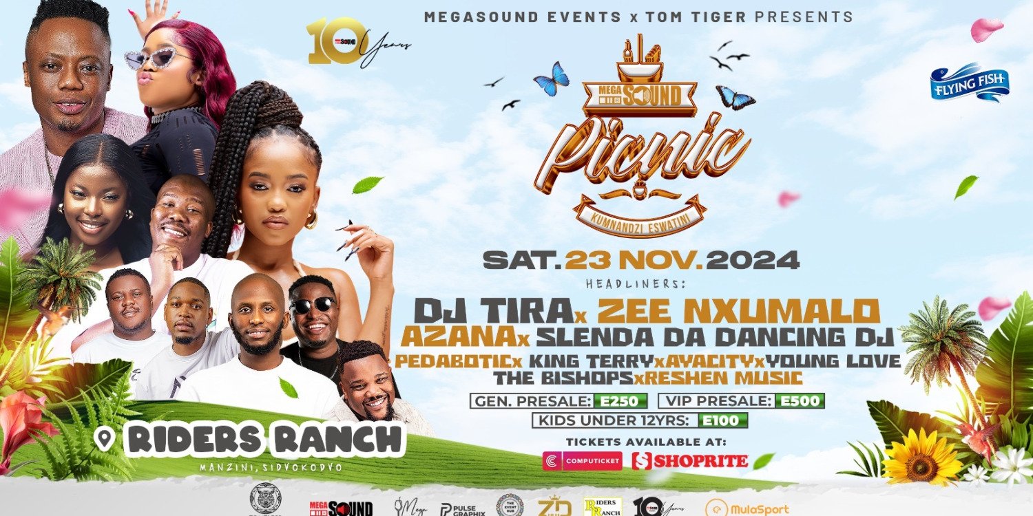 MEGASOUND PICNIC 