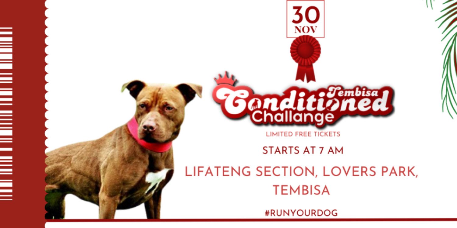 Tembisa Conditioned Challenge