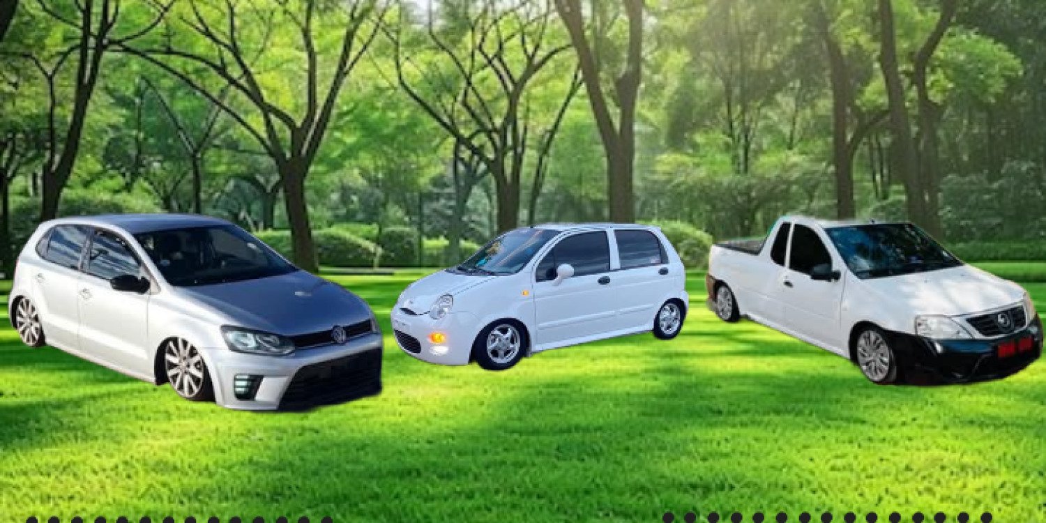 Lows in the park