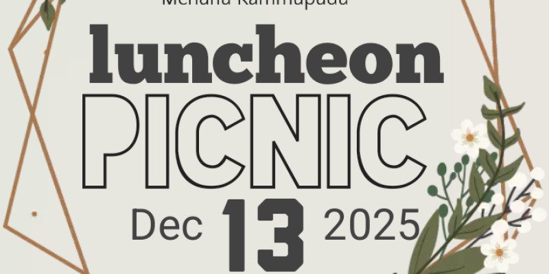 Luncheon picnic 