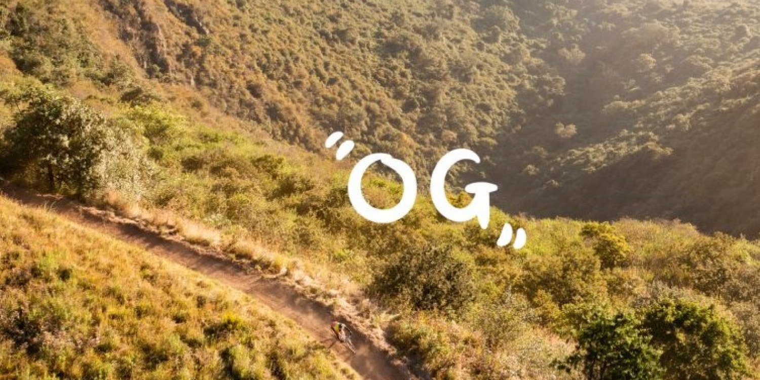 sani2c 2026 OG Physio