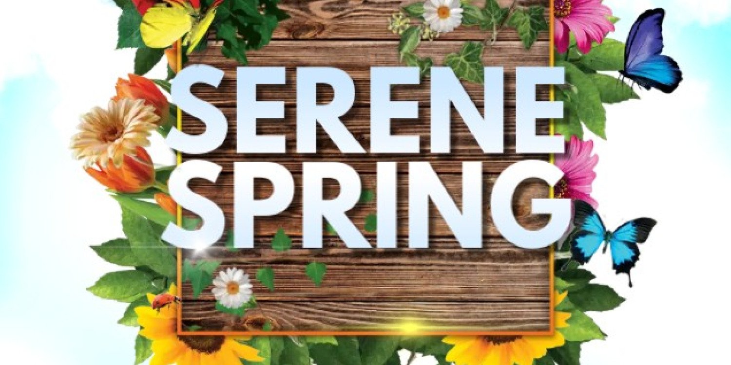 Serene Spring Festival