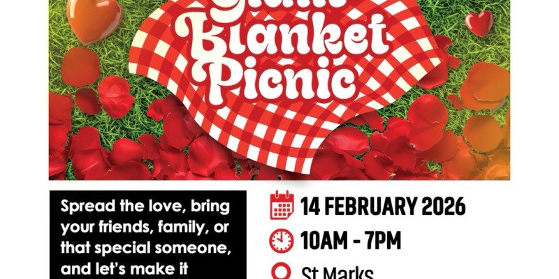  Giant Blanket Picnic