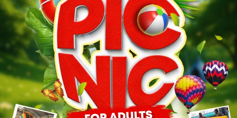 Bouncy Picnic for Adults 
