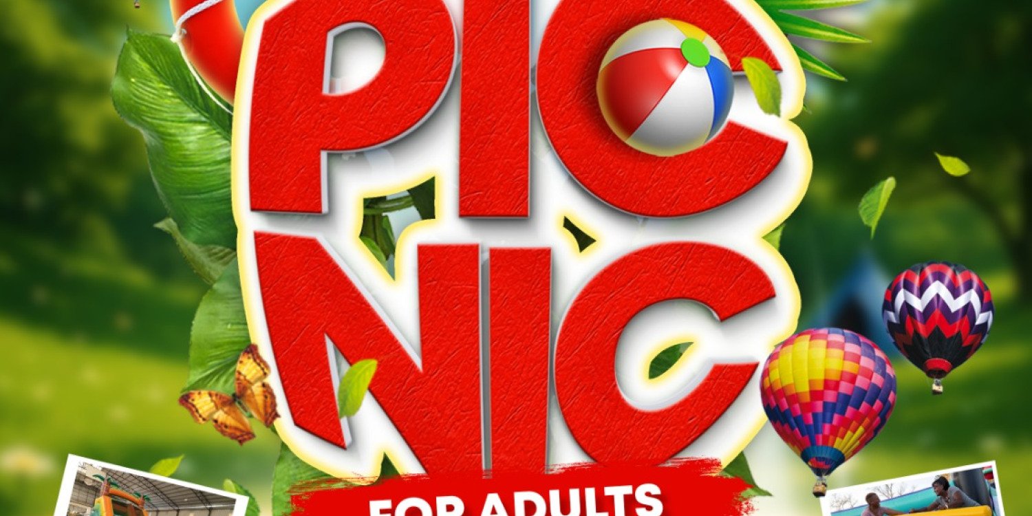 Bouncy Picnic for Adults 