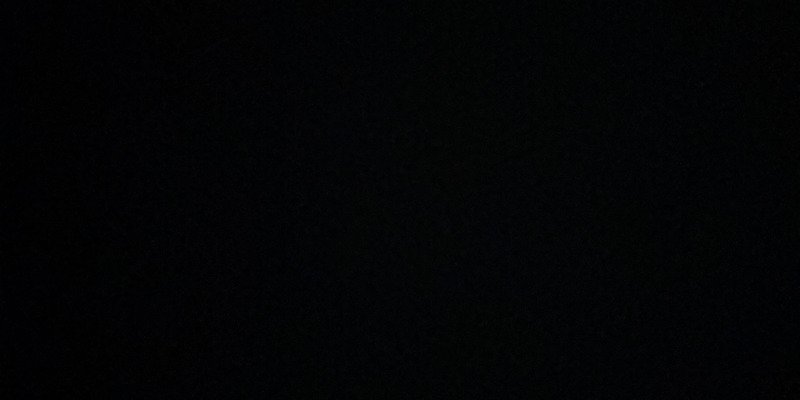  The forest WORSHIPPERS (Example) 