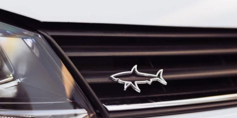 Kagiso's celebration and Park&Shine Stance Show.