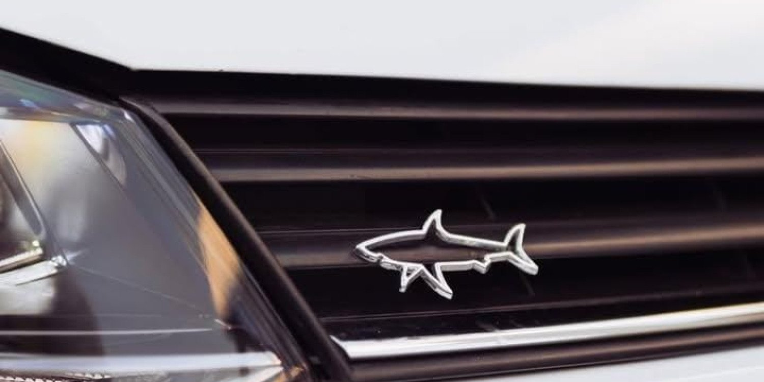 Kagiso's celebration and Park&Shine Stance Show.