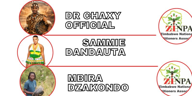 Zinpa diaspora dandaro 