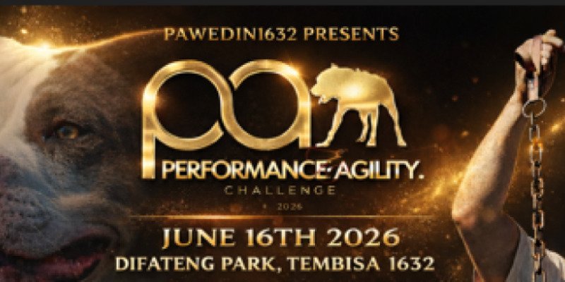 PERFORMANCE & AGILITY CHALLENGE ADULTS 21-27kg