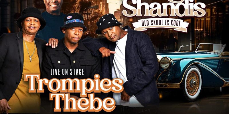 VINTAGE SHANDIS