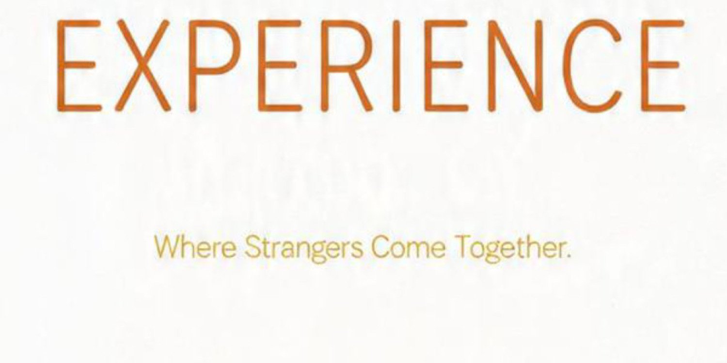 The Social Experience 